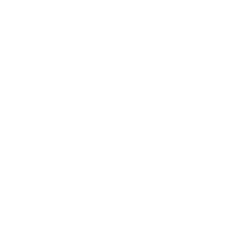 lazzarini-logo-01-01-01